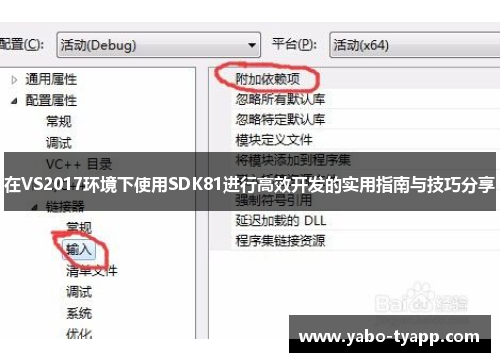 在VS2017环境下使用SDK81进行高效开发的实用指南与技巧分享