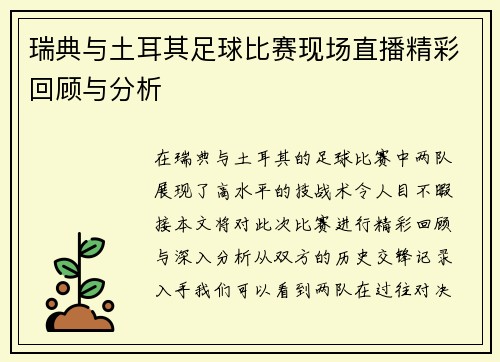 瑞典与土耳其足球比赛现场直播精彩回顾与分析